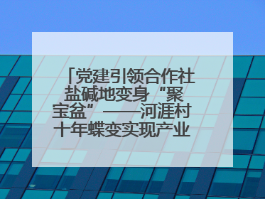 党建引领合作社 盐碱地变身“聚宝盆”——河涯村十年蝶变实现产业兴村群众富