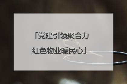 党建引领聚合力 红色物业暖民心
