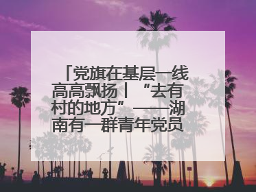 党旗在基层一线高高飘扬丨“去有村的地方”——湖南有一群青年党员这样选择