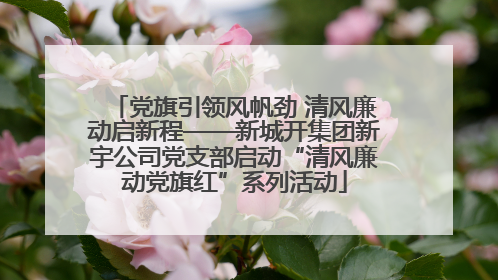 党旗引领风帆劲 清风廉动启新程——新城开集团新宇公司党支部启动“清风廉动党旗红”系列活动