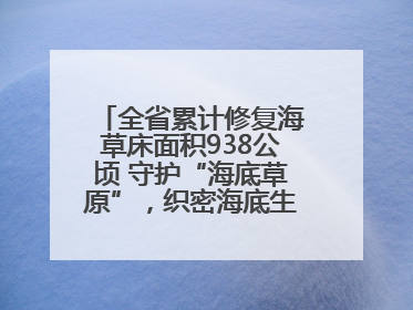 全省累计修复海草床面积938公顷 守护“海底草原”，织密海底生态“一张网”