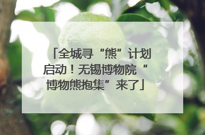 全城寻“熊”计划启动！无锡博物院“博物熊抱集”来了