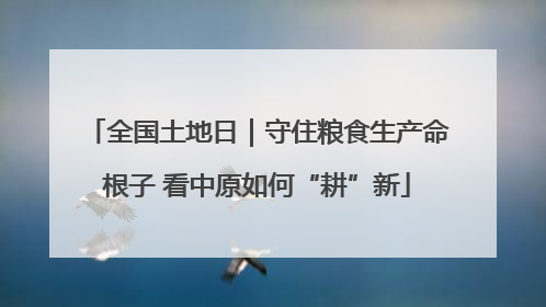 全国土地日｜守住粮食生产命根子 看中原如何“耕”新