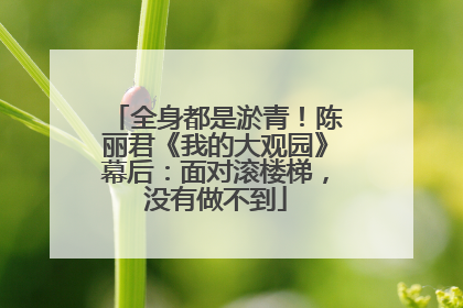 全身都是淤青！陈丽君《我的大观园》幕后：面对滚楼梯，没有做不到