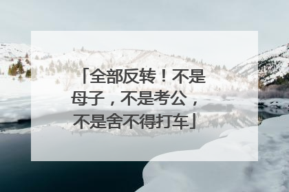 全部反转！不是母子，不是考公，不是舍不得打车