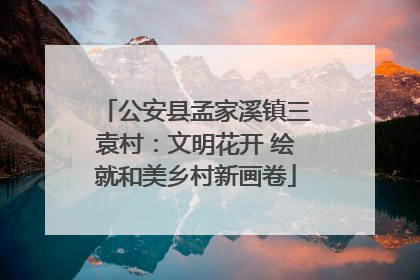 公安县孟家溪镇三袁村：文明花开 绘就和美乡村新画卷