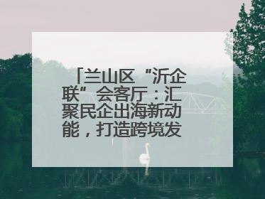 兰山区“沂企联”会客厅：汇聚民企出海新动能，打造跨境发展“强磁场”