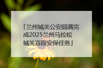 兰州城关公安圆满完成2025兰州马拉松城关赛段安保任务