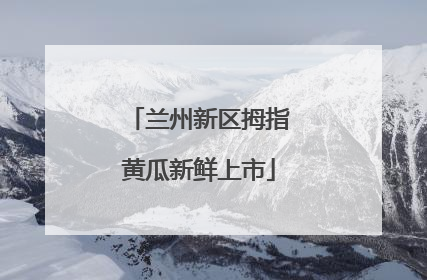 兰州新区拇指黄瓜新鲜上市