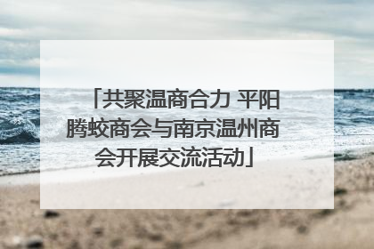 共聚温商合力 平阳腾蛟商会与南京温州商会开展交流活动
