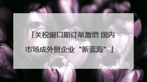 关税窗口期订单激增 国内市场成外贸企业“新蓝海”
