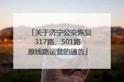关于济宁公交恢复317路、501路原线路运营的通告