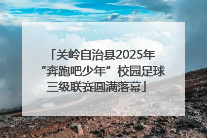关岭自治县2025年“奔跑吧少年”校园足球三级联赛圆满落幕