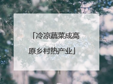 冷凉蔬菜成高原乡村热产业