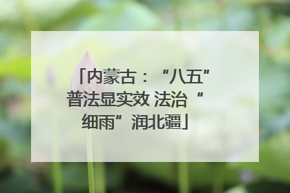 内蒙古：“八五”普法显实效 法治“细雨”润北疆