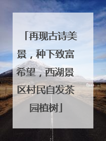 再现古诗美景，种下致富希望，西湖景区村民自发茶园植树