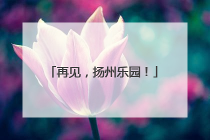 再见，扬州乐园！