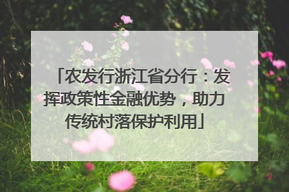 农发行浙江省分行：发挥政策性金融优势，助力传统村落保护利用