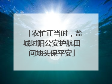 农忙正当时，盐城射阳公安护航田间地头保平安