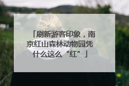 刷新游客印象，南京红山森林动物园凭什么这么“红”