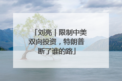 刘亮｜限制中美双向投资，特朗普断了谁的路
