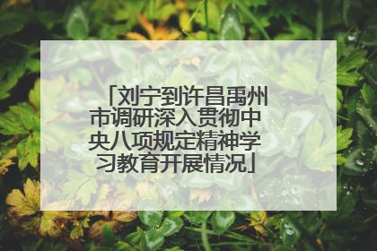 刘宁到许昌禹州市调研深入贯彻中央八项规定精神学习教育开展情况