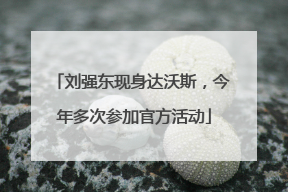 刘强东现身达沃斯，今年多次参加官方活动