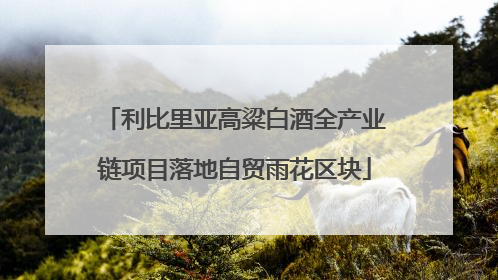 利比里亚高粱白酒全产业链项目落地自贸雨花区块