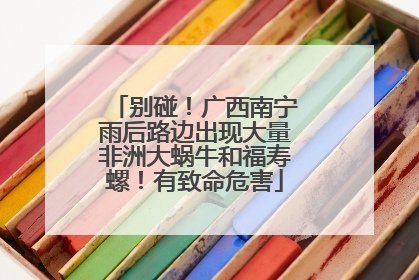 别碰！广西南宁雨后路边出现大量非洲大蜗牛和福寿螺！有致命危害