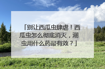 别让西瓜虫肆虐！西瓜虫怎么彻底消灭，潮虫用什么药最有效？