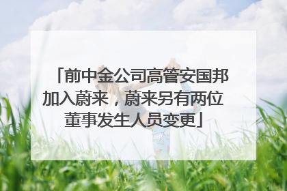 前中金公司高管安国邦加入蔚来，蔚来另有两位董事发生人员变更