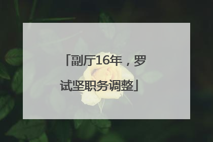 副厅16年，罗试坚职务调整