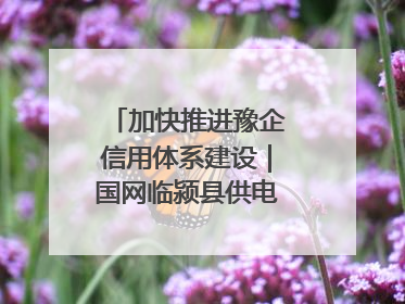 加快推进豫企信用体系建设｜国网临颍县供电公司开展电力行业信用企业现场咨询访谈工作