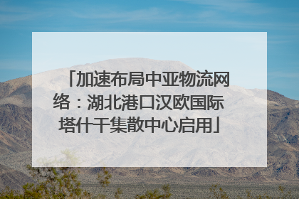 加速布局中亚物流网络：湖北港口汉欧国际塔什干集散中心启用