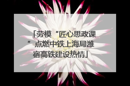 劳模“匠心思政课”点燃中铁上海局潍宿高铁建设热情