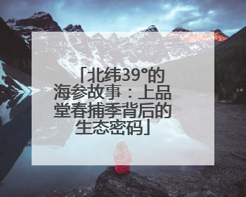北纬39°的海参故事：上品堂春捕季背后的生态密码