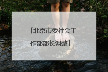 北京市委社会工作部部长调整