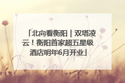 北向看衡阳｜双塔凌云！衡阳首家超五星级酒店明年6月开业