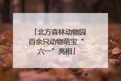 北方森林动物园百余只动物萌宝“六一”亮相