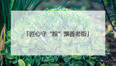 匠心守“粽”飘香老街