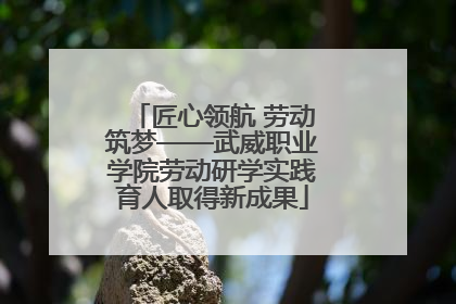 匠心领航 劳动筑梦——武威职业学院劳动研学实践育人取得新成果
