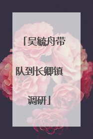 吴毓舟带队到长卿镇调研