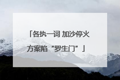 各执一词 加沙停火方案陷“罗生门”