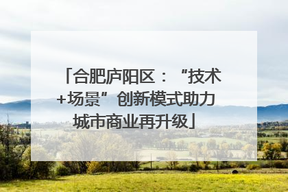合肥庐阳区：“技术+场景”创新模式助力城市商业再升级