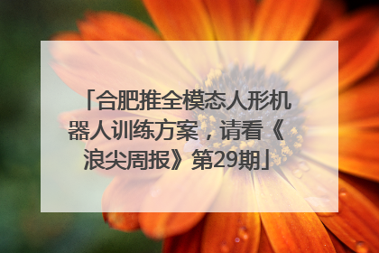 合肥推全模态人形机器人训练方案，请看《浪尖周报》第29期