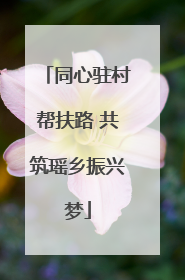 同心驻村帮扶路 共筑瑶乡振兴梦