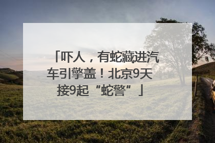 吓人，有蛇藏进汽车引擎盖！北京9天接9起“蛇警”