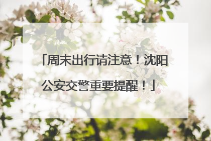 周末出行请注意！沈阳公安交警重要提醒！