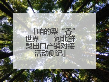 咱的梨“香”世界——河北鲜梨出口产销对接活动侧记