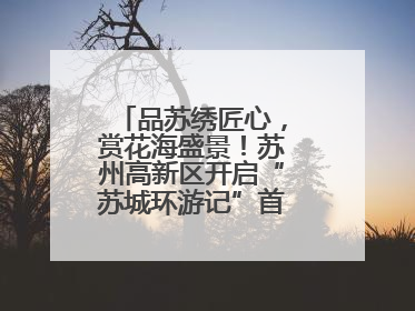 品苏绣匠心，赏花海盛景！苏州高新区开启“苏城环游记”首条非遗主题游